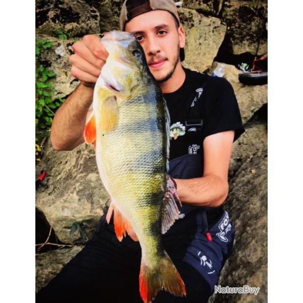 T-Shirt p�che - Logo Perche by Nolimit FrenchFishing ( Taille M )