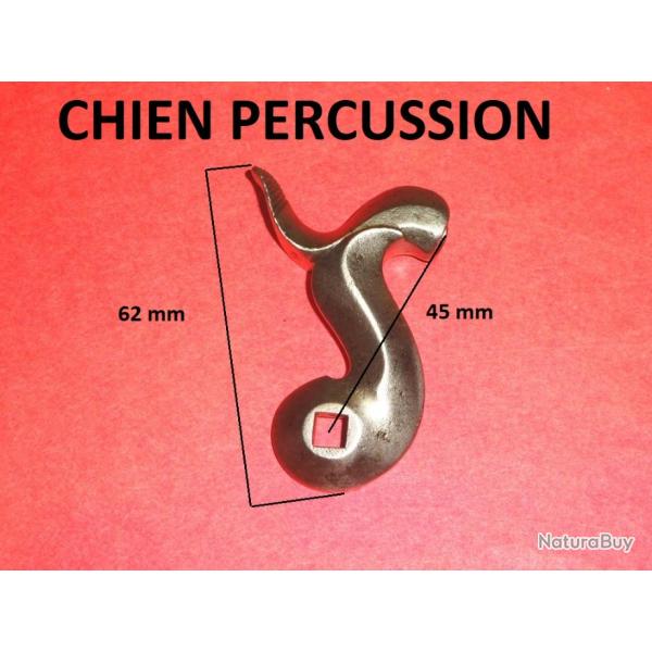 chien DROIT � percussion - VENDU PAR JEPERCUTE (D24D72)