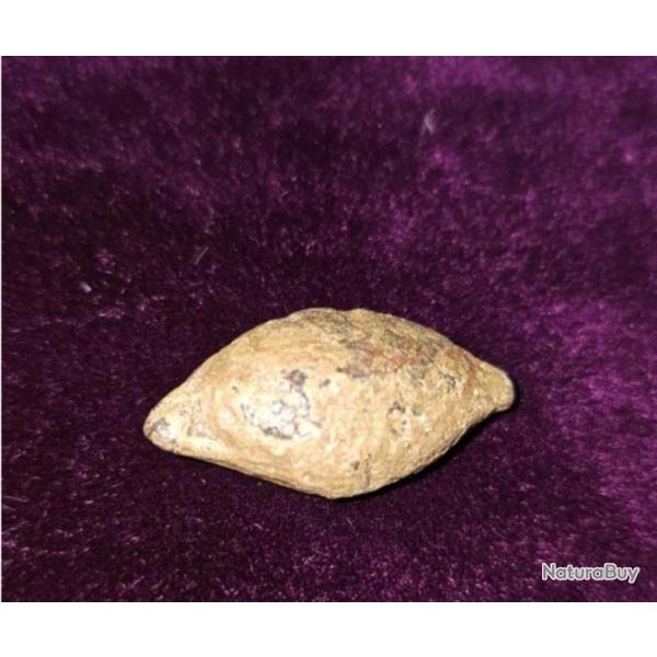 Rome Antique : balle de fronde Romaine !!! en plomb (Ier - IIIe si�cle)
