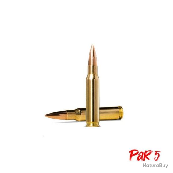 Balles Norma Golden Target - Cal. 308 Win - 155 gr / 10 g / Par 5