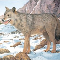 10 Blasons Loup