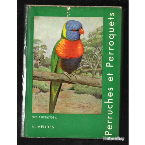 perruches australiennes et autres psittacid�s de nicolas m�lid�s
