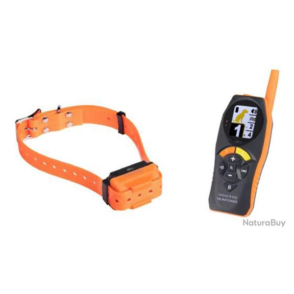 T�l�commande et colliers de dressage Canicom R-800 Canicom R-800