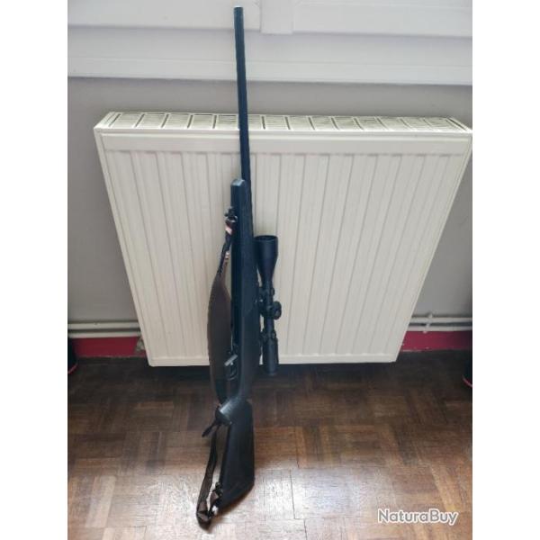 Carabine 30-06