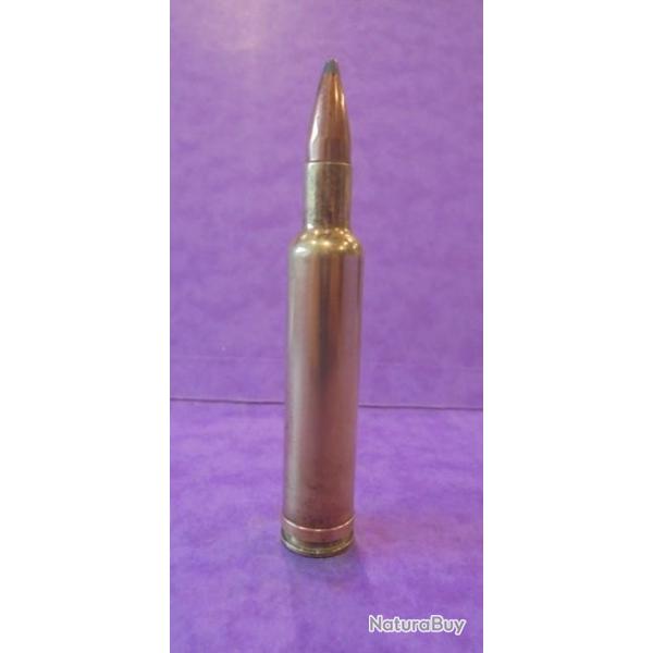 UNE cartouche cal.270 WEATHERBY MAGNUM  NEUTRALISEE   .