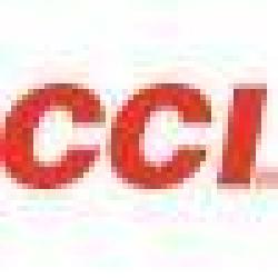 Cartouches Stinger Cuivr&eacute;es 22LR - CCI