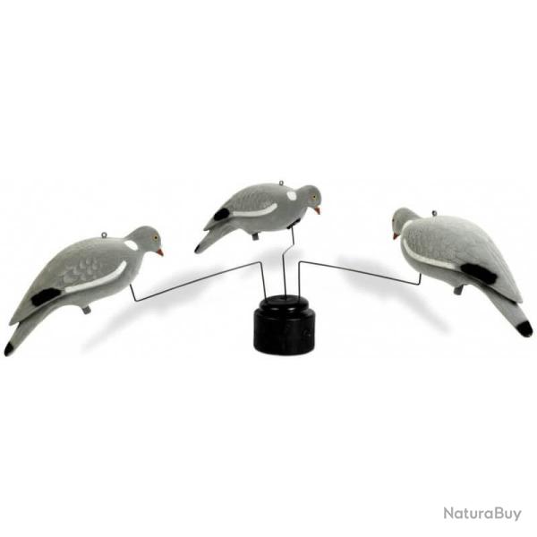 Man�ge A Pigeons - STEPLAND