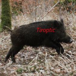 Lunette TIROPTIC 1-8X24 FFP