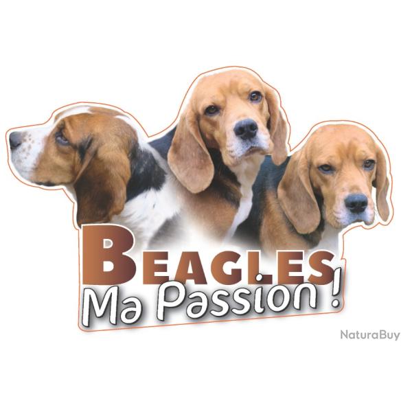 Autocollant pour v�hicule 19 cm x 15cm - Beagle ma passion