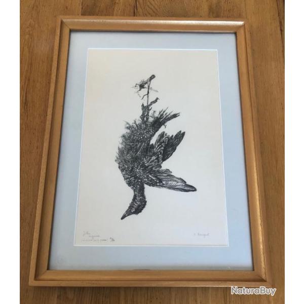 Lithographie Originale Sign�e "A.Bougerol" - Nature morte, Sarcelle - Num�rot�e & Encadr�e