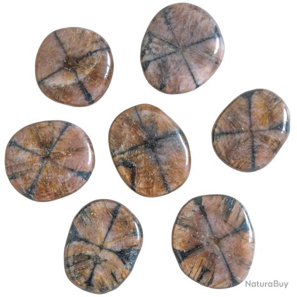 Galet plat chiastolite - A l'unit�