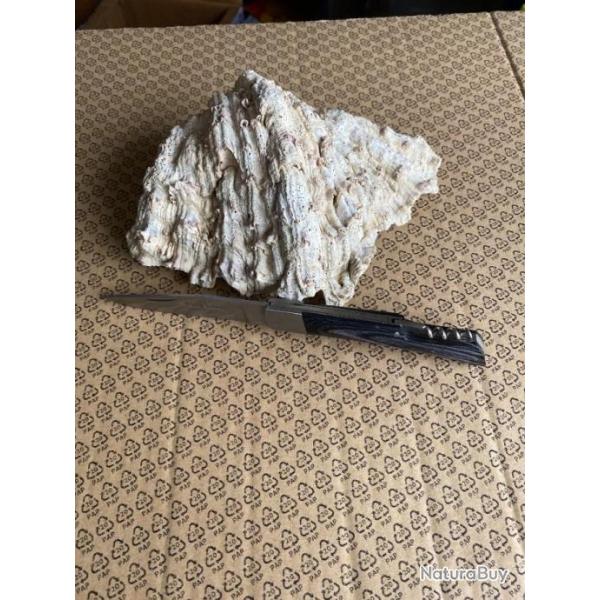 COUTEAU PRADEL EVOLUTION    14  2025