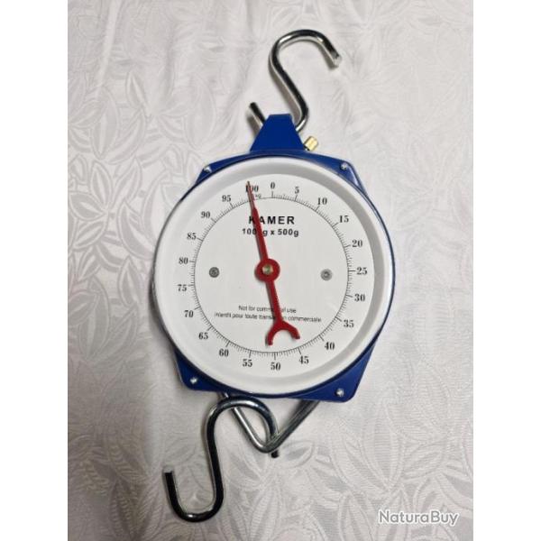 Peson dynamom�trique 100 kg