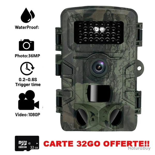 CAM�RA CHASSE INFRAROUGE + CARTE SD OFFERTE - 44 LEDS 1080P IP65 - LIVRAISON GRATUITE