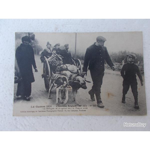 carte postale chien tirant une charrette,bon �tat