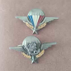 Lot d'insignes  brevet parachutiste