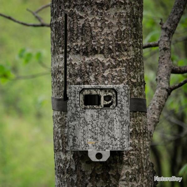 Spypoint Bo�tier Antivol M�tallique pour Cam�ras de Surveillance, SB300-S