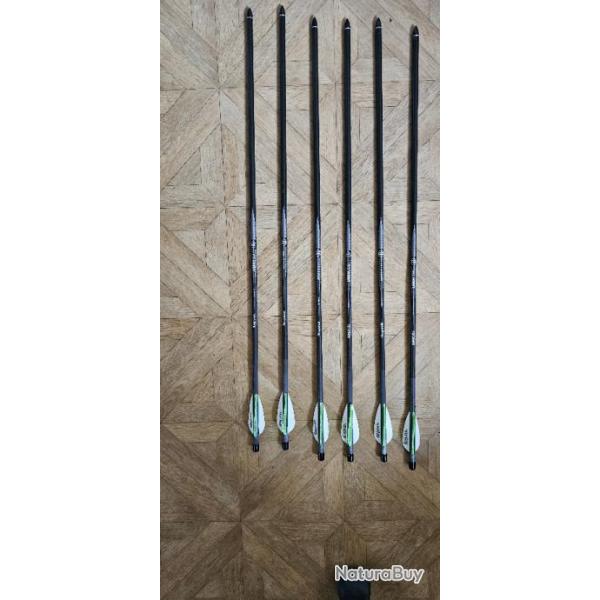 6 Fl�ches sp�ciales pour Airbow Pioneer Crosman Benjamin