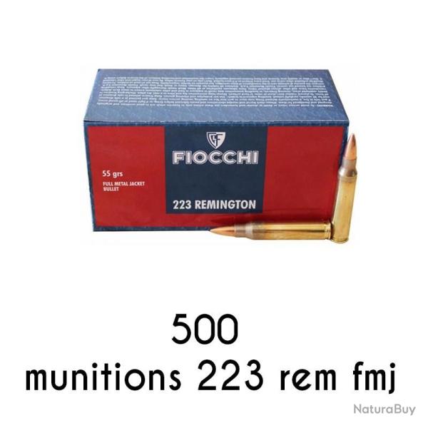 500 Munitions Fiocchi 223 Rem FMJ 55 gr 