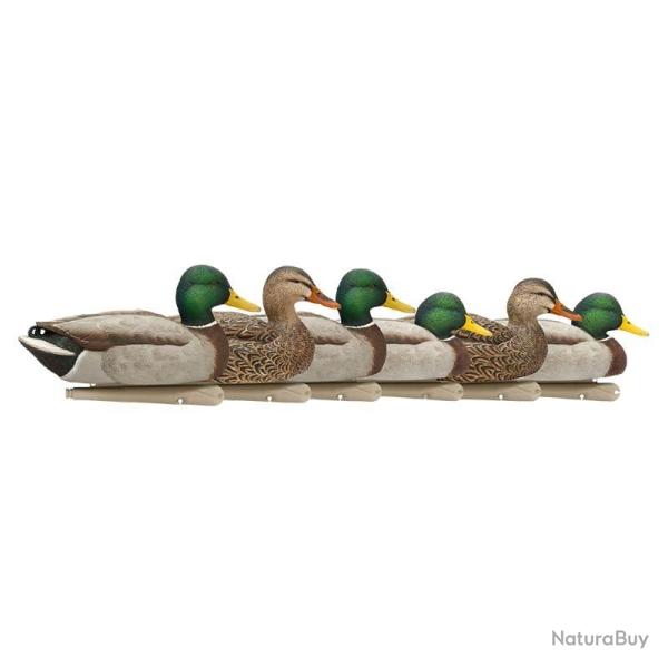 Formes de colvert AvianX open water HD