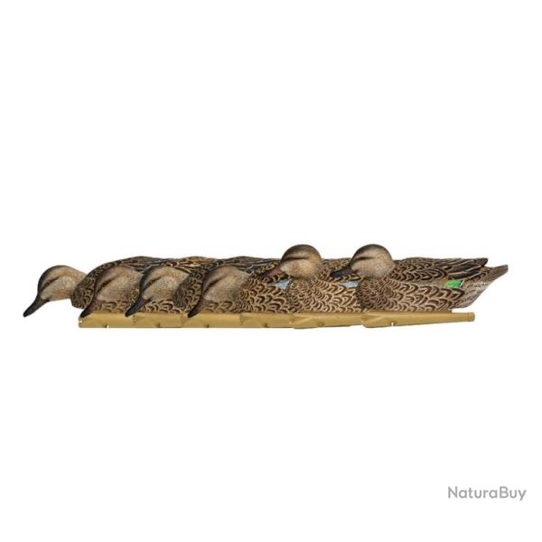 Formes de sarcelle d�but de saison AvianX