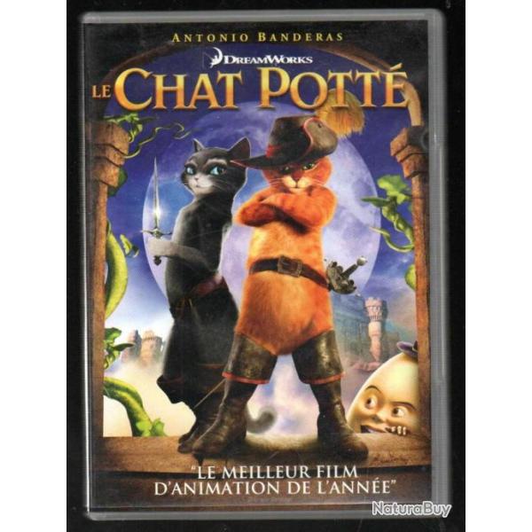le chat pott dreamworks , animation