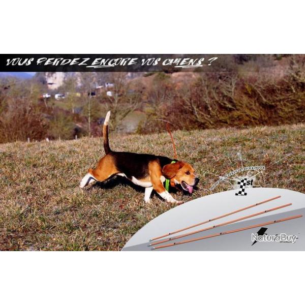 OFFRE PROMO Antenne de collier ROG compatible GARMIN TT DC et DOGTRA LIV GRATIS