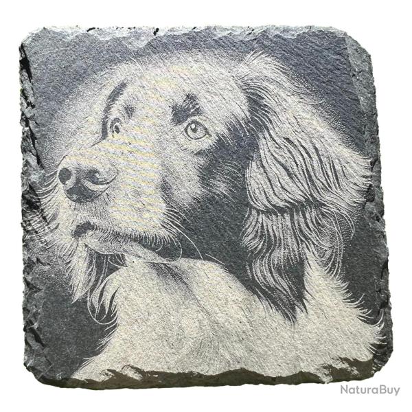 Dessous de verre carr� x4 en ardoise de 10 cm tete d'�pagneul