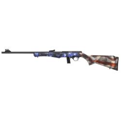 CARABINE ROSSI 8122 22LR USA
