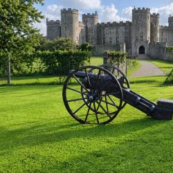 *Offre  Canon cannon de l'arm&eacute;e de r&eacute;plique tir &agrave; la poudre noire