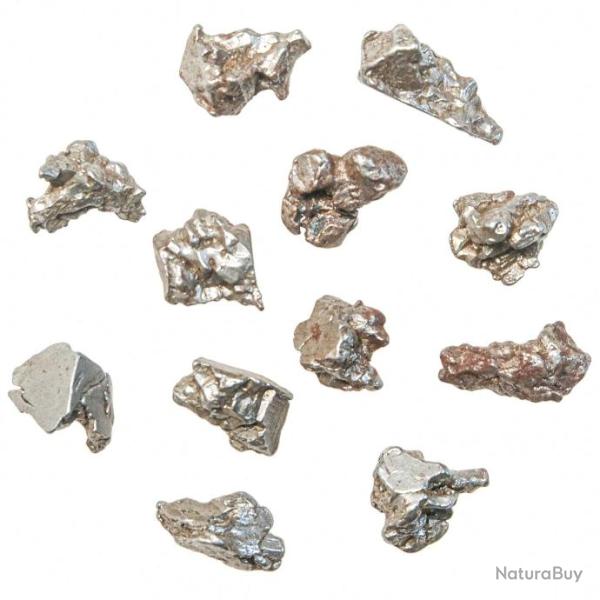 Fragments de m�t�orite (hexa�drite) Campo Del Cielo - A l'unit� 5 � 6 grammes