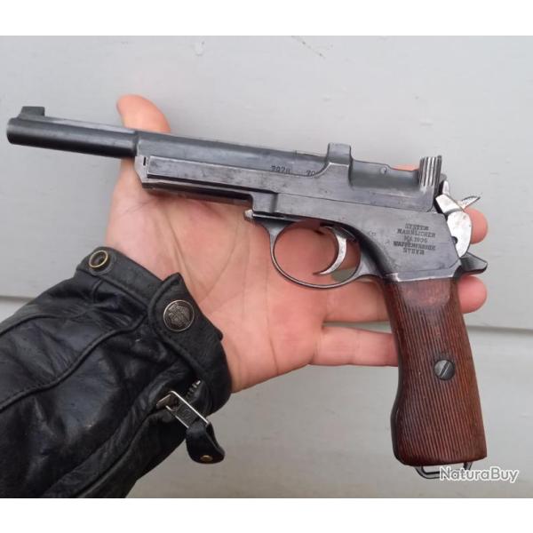 Pistolet steyr mannlicher 1905 cat�gorie D