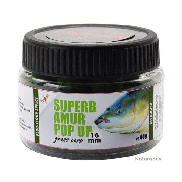 Pop Ups Carp Zoom Sp�cial Amour Blanc 16mm 40g