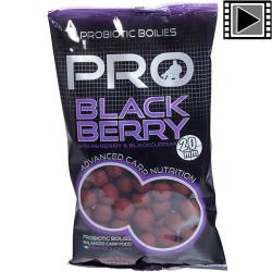 Bouillettes Starbaits Probiotic Blackberry 20mm 800g