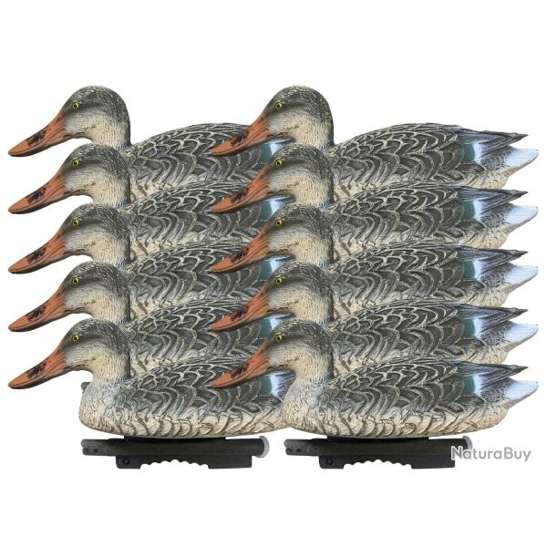 Pack 10 appelants canards femelles souchets HD SPORTPLAST