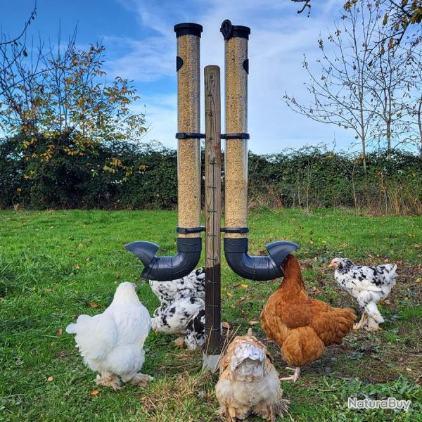 Mangeoire pour Poule Vert Olive, 5kg, Gris Opaque