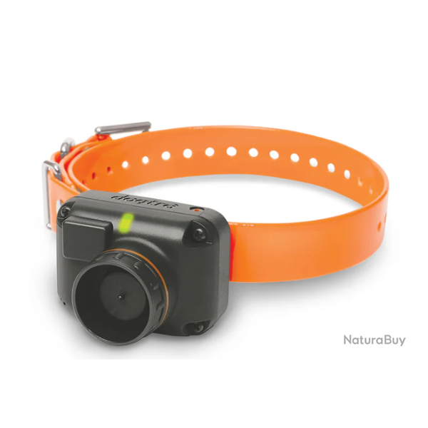 Collier suppl�mentaire Dogtra 2600 T&B - Orange