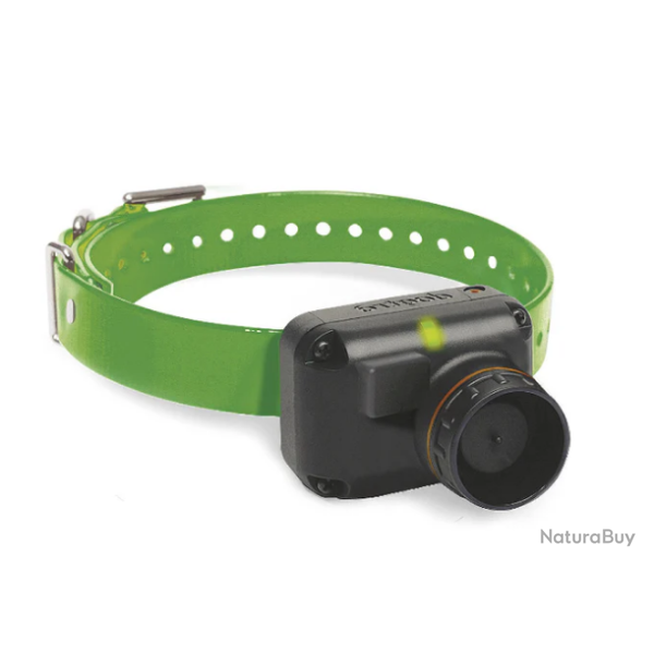 Collier suppl�mentaire Dogtra 2600 T&B - Vert