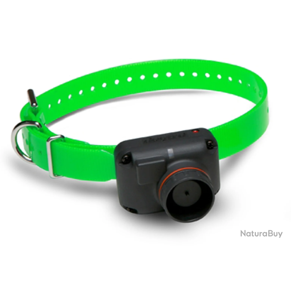 Collier suppl�mentaire Dogtra RB1000