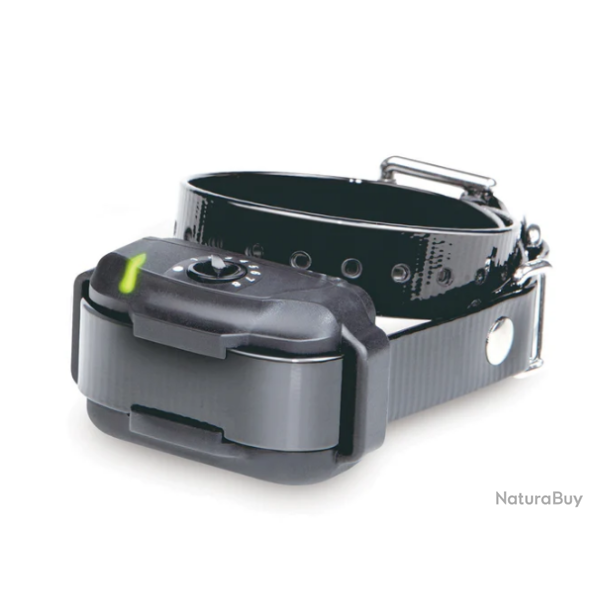 Collier supplmentaire Dogtra EF-3500