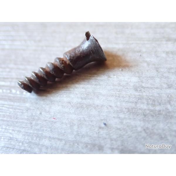 Vis � bois pour fusil. Longueur : 22,7 mm environ