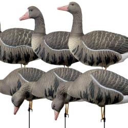 Pack 6 oies rieuses &agrave; pattes full HD XTREM MIGRATEURS