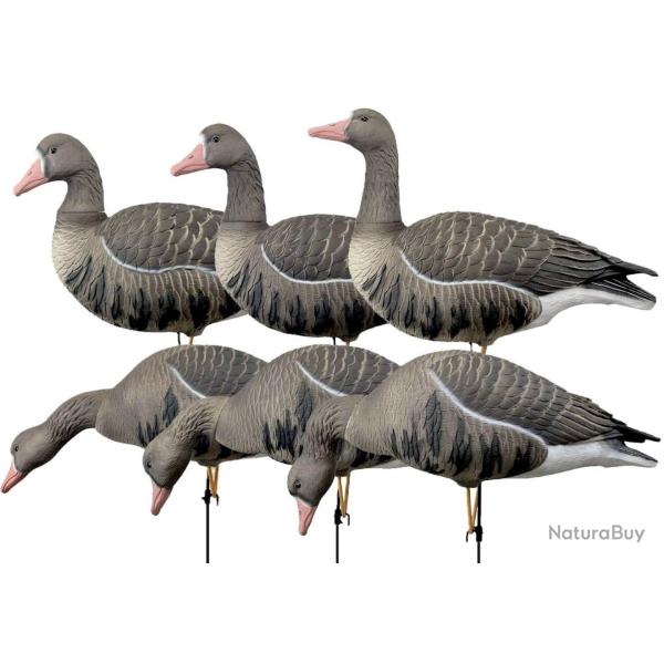 Pack 6 oies rieuses � pattes full HD XTREM MIGRATEURS