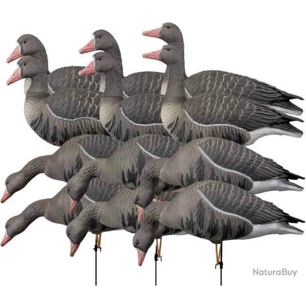 Pack 12 oies rieuses � pattes full HD XTREM MIGRATEURS