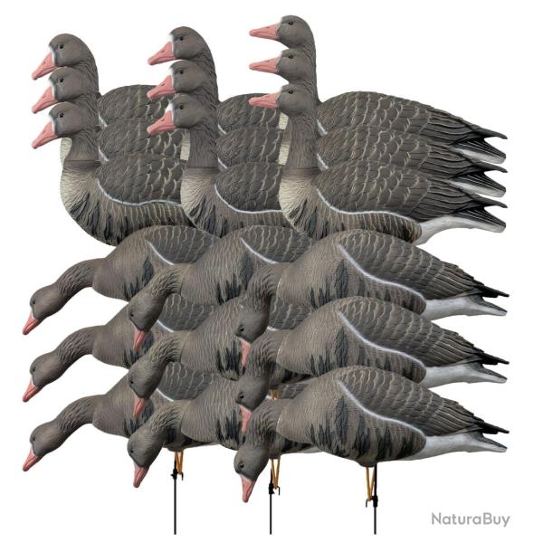 Pack 18 oies rieuses � pattes full HD XTREM MIGRATEURS