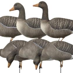 Pack 6 oies cendr&eacute;es &agrave; pattes full HD XTREM MIGRATEURS