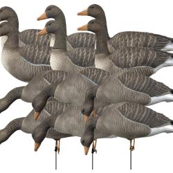 Pack 12 oies cendr&eacute;es &agrave; pattes full HD XTREM MIGRATEURS