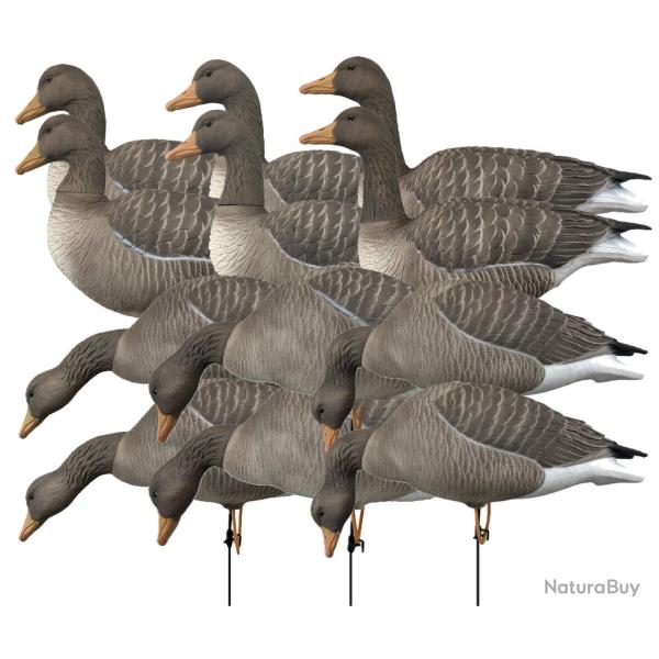 Pack 12 oies cendr�es � pattes full HD XTREM MIGRATEURS