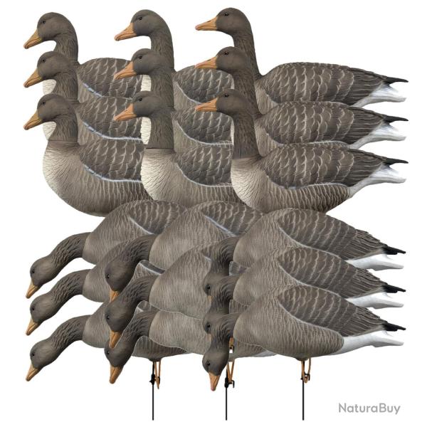 Pack 18 oies cendr�es � pattes full HD XTREM MIGRATEURS