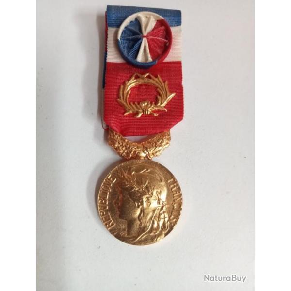 medaille honneur travail 2008 en bronze dor�